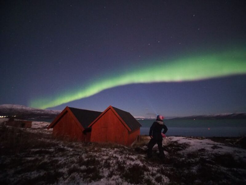Alta: Small-Group Guided Northern Lights Tour - The Practicalities: Comfort, Cost, and Booking