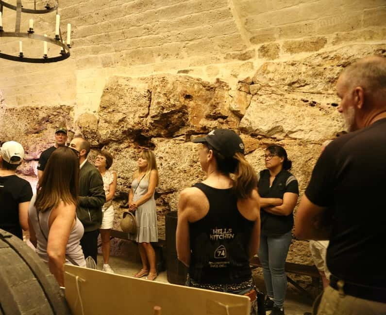 Altamura: Wine Museum Guided Tour with Tasting - Who Will Enjoy This Tour?