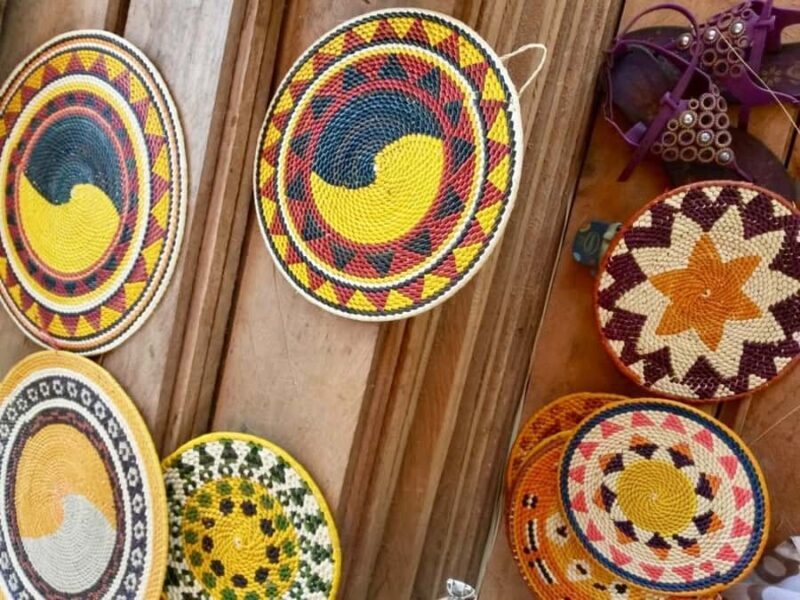 Alter do Chão: Arapiuns River and Urucureá Village Boat Tour - Exploring the Full Day: What to Expect from the Tour