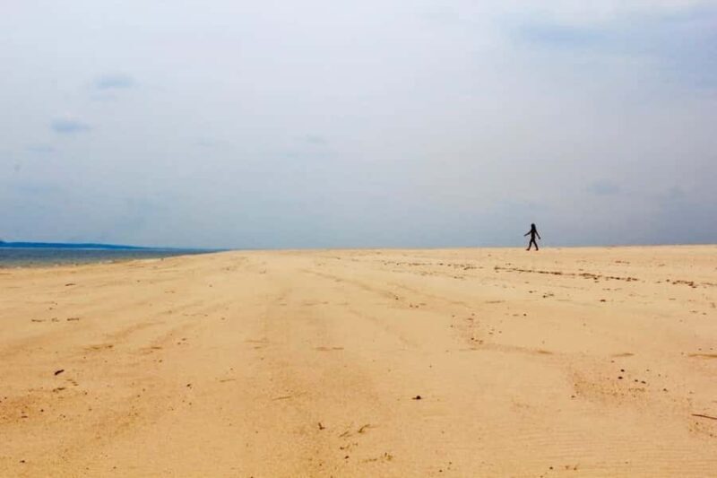 Alter do Chão: Arapiuns River and Urucureá Village Boat Tour - FAQs