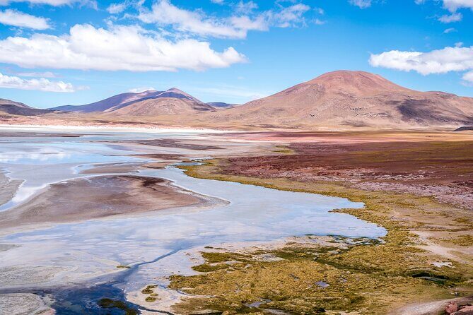 Altiplanic Lagoons and Piedras Rojas - Authentic Experiences and Genuine Feedback