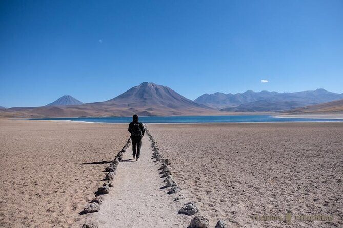 Altiplanic Lagoons and Piedras Rojas - Final Thoughts: Who Should Consider This Tour?