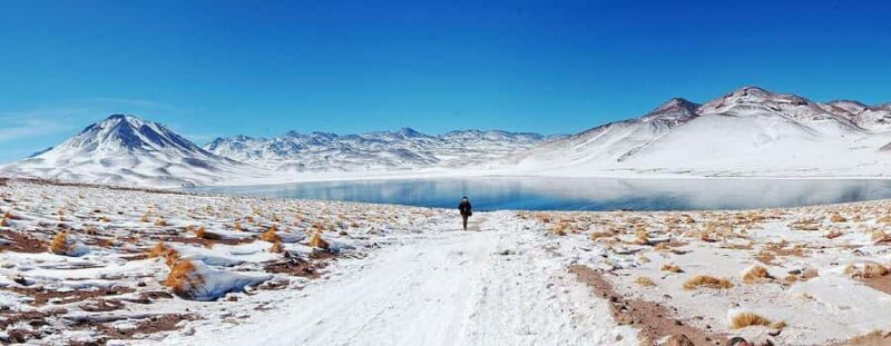 Altiplanic Lagoons and Red Stones of San Pedro de Atacama - Key Points