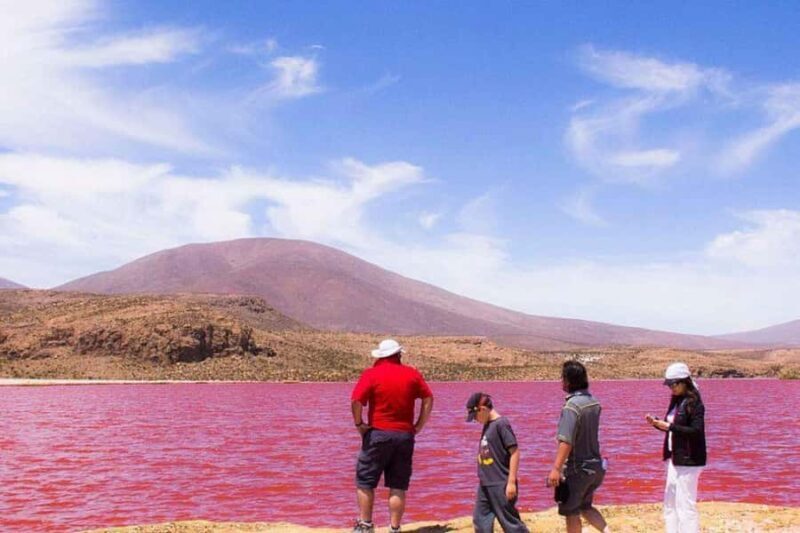 Altiplanic Lagoons and Red Stones of San Pedro de Atacama - An In-Depth Look at the Tour Experience