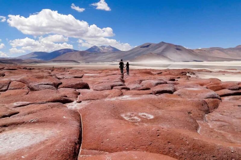 Altiplanic Lagoons and Red Stones of San Pedro de Atacama - Final Thoughts: Is It Worth It?