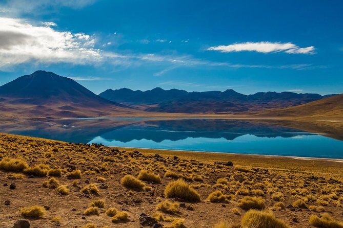 Altiplanic Lagoons & Piedras Rojas Tour from San Pedro de Atacama - Experience the Atacama Salt Flats: An Unforgettable Day