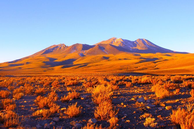 Altiplanic Lagoons & Piedras Rojas Tour from San Pedro de Atacama - Who Will Love This Tour?