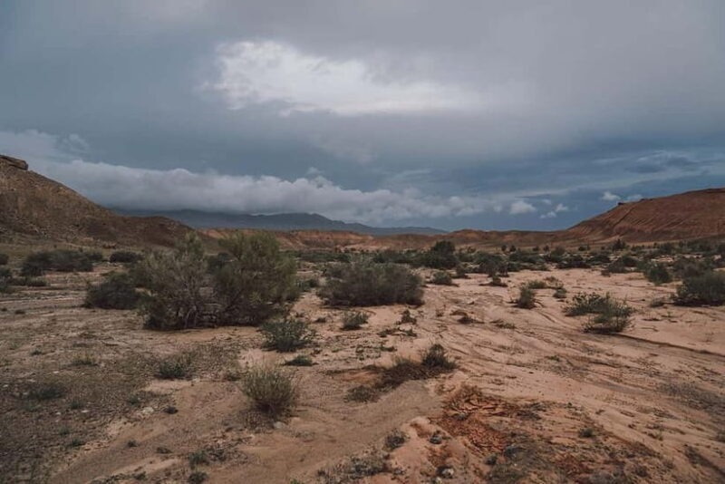 Altyn-Emel National Park: 1-Day Adventure - Practical Details and Value