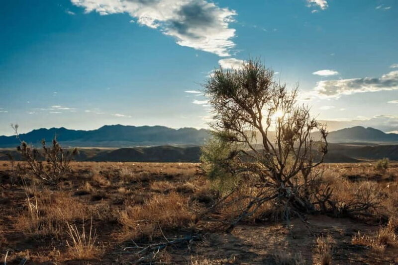 Altyn-Emel National Park: 1-Day Adventure - The Sum Up: Is This Tour Worth It?