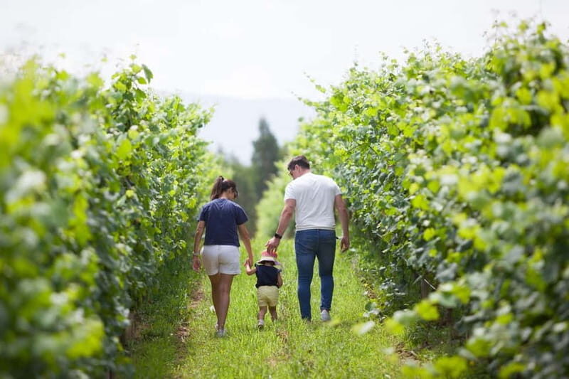 Alvarinho com Alma - A Closer Look at the Alvarinho com Alma Tour