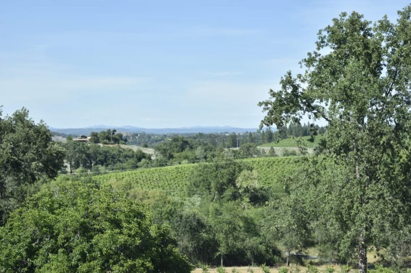 Amador County Wine Tasting Tour Private Tour 1 To 14 Group - Key Points