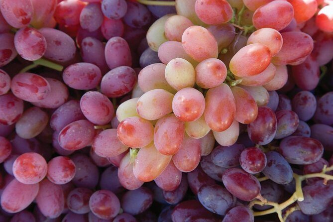 Amador County Wine Tasting Tours max 14 pax Private Wine Tours - Final Thoughts: Is This the Tour for You?