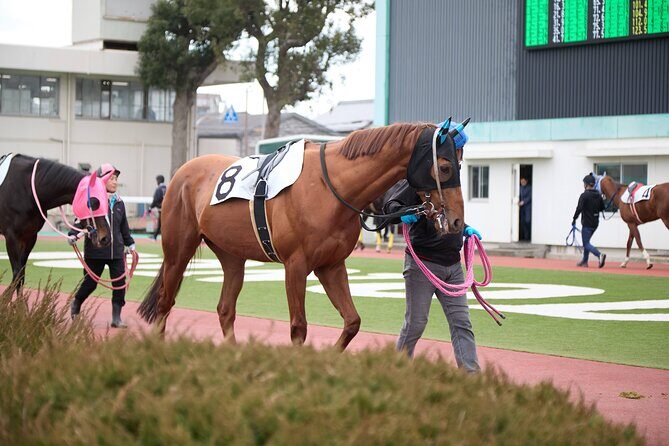 Amagasaki Retro Tour: Showa era-style bar & horse race experience - Deep Dive: What Makes It Stand Out?