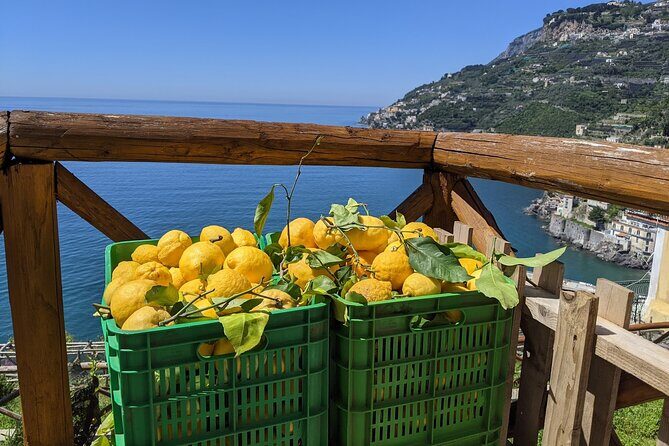 Amalfi Coast - Maiori: Path of Lemons Tour with Tasting - Practical Details and What to Expect