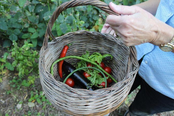 Amalfi Coast & Sorrento Cooking Class School at Farmhouse - Practical Tips for Booking and Participation