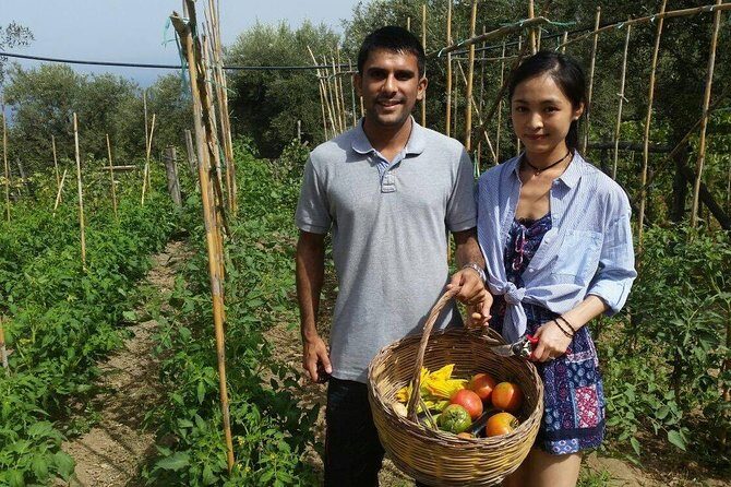 Amalfi Coast & Sorrento Cooking Class School at Farmhouse - Who Will Love This Experience?