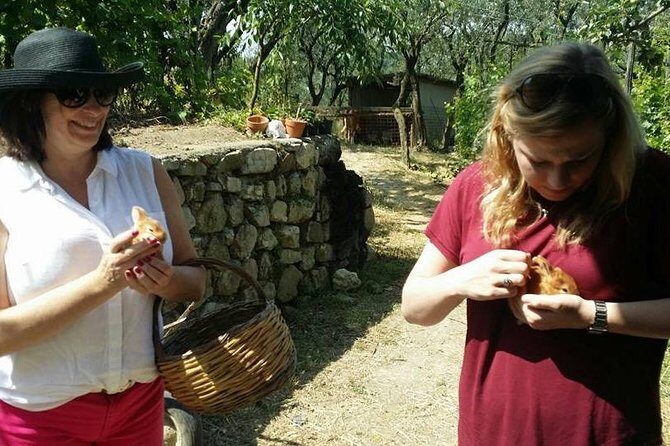 Amalfi Coast & Sorrento Cooking Class School at Farmhouse - FAQ