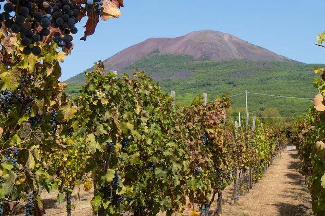 Amalfi Coast with Wine Tasting - Private Driving Tour from Rome - The Long Day in Perspective
