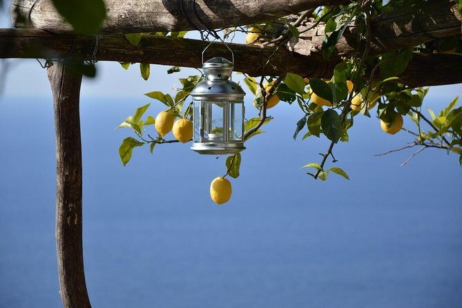 Amalfi Ravello Positano Tour - Experience the Best of the Amalfi Coast with a Private Driver