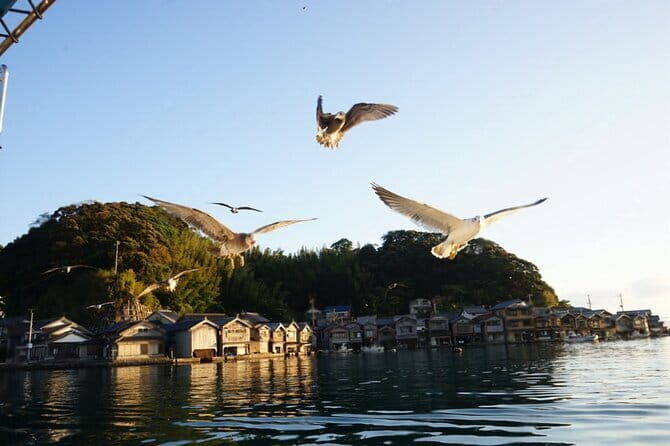 Amanohashidate and Ine Bay Private Trip from Kyoto - Who Should Consider This Tour?