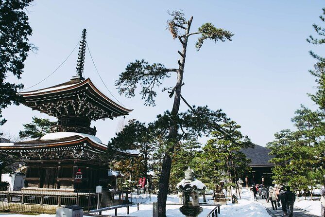 Amanohashidate and Miyama One Day Tour With Lunch - FAQs