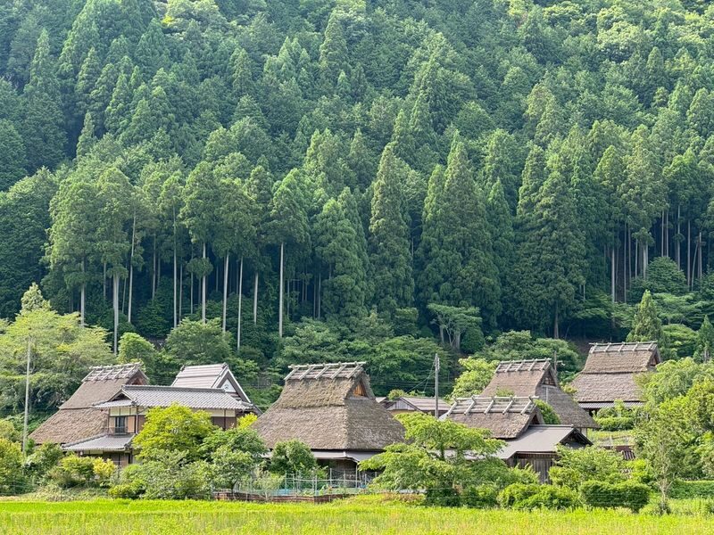 Amanohashidate & Ine Bay Full-Day Tour with Seafood Lunch - Is $51.20 good value?