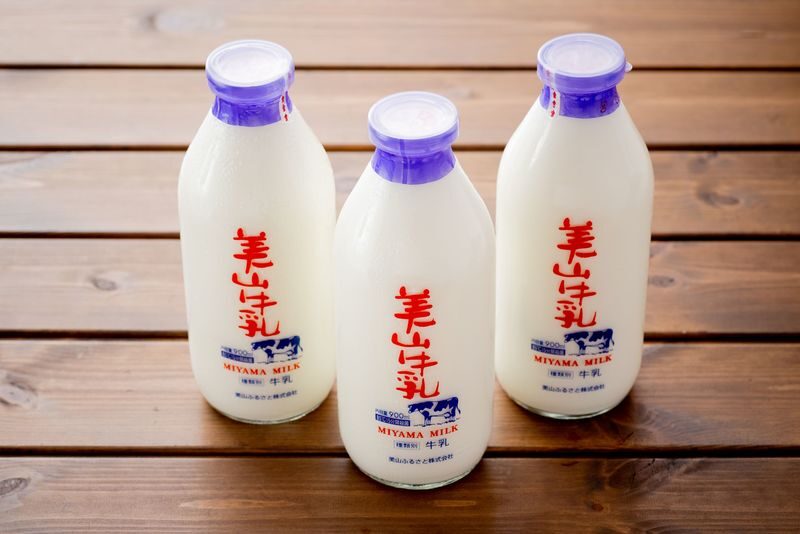 Amanohashidate & Ine Bay Sightseeing Boat & Kyoto Miyama Thatched Village One-Day Tour (Departing from Osaka/Kyoto) - Osaka, Kyoto, and the teamLab option