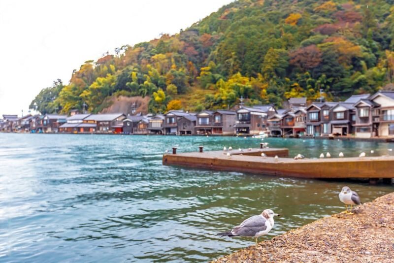 Amanohashidate, Ine Funaya, & Chionji Temple One Day Tour - Planning a smooth day from Kyoto or Osaka
