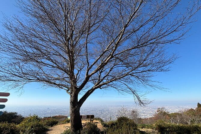 Amanohashidate Ine Funaya Miyama Village No Sato Tour from Osaka - Who Should Consider This Tour?