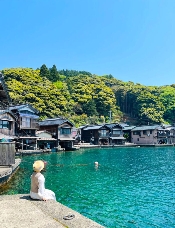 Amanohashidate & Ine no Funaya & Miyama One-Day Tour (Cable car + Ine boat ticket optional, departs from Osaka) - What the price includes, and what it does not