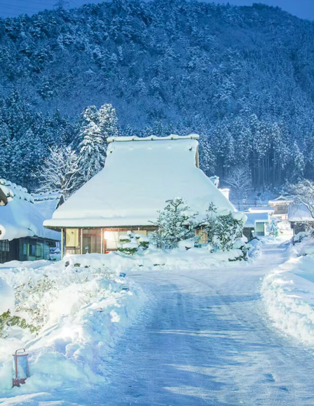 Amanohashidate & Ine no Funaya & Miyama One-Day Tour (Cable car + Ine boat ticket optional, departs from Osaka) - Who will get the most from this day