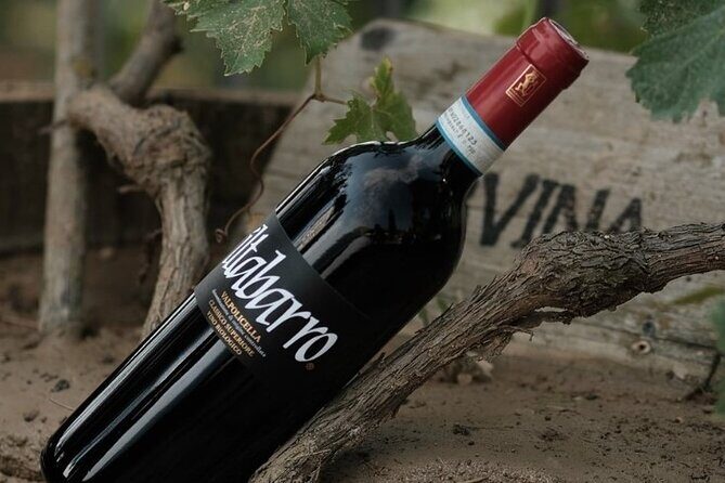 Amarone 2005 Wine Experience - Key Points