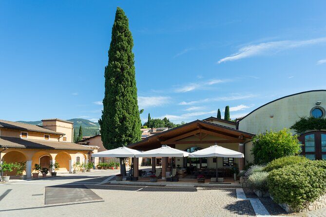 Amarone 2005 Wine Experience - Final Thoughts: Is This the Right Wine Tour for You?