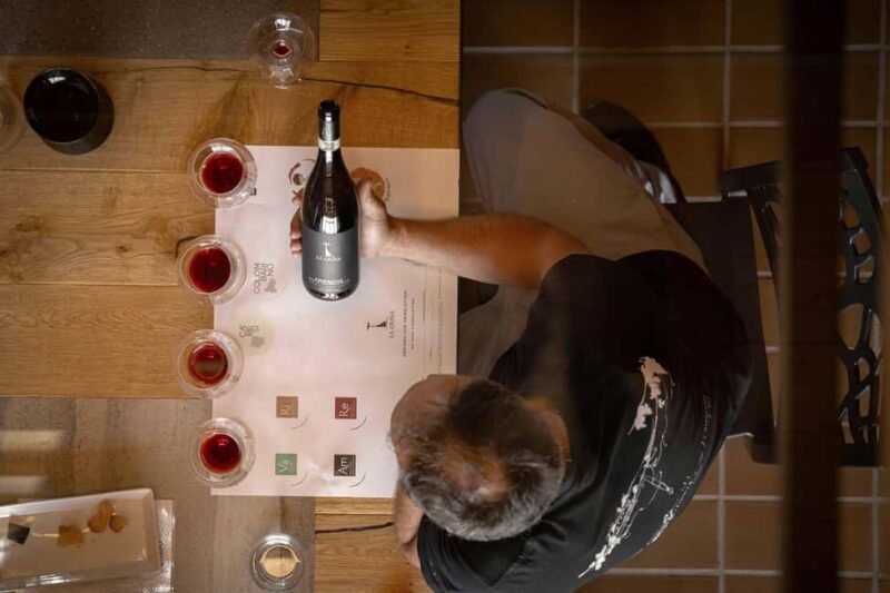AMARONE: VERTICAL TASTING OF HISTORIC VINTAGES - Exploring the Heart of Amarone: A Tour of Veneto’s Finest