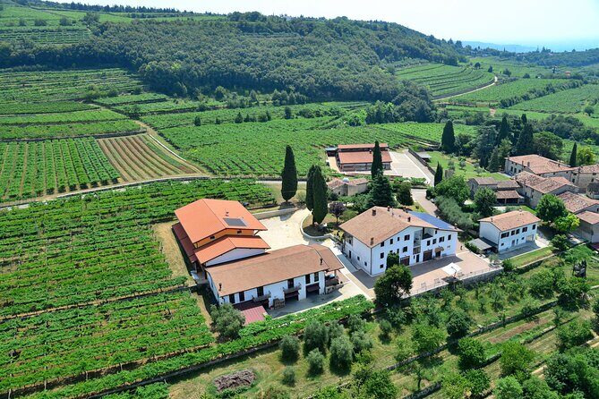 Amarone Wine Tasting from Verona - A Detailed Look at the Amarone Wine Tasting from Verona