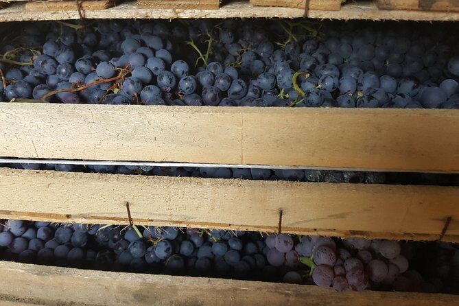 Amarone Wine Tour (all-inclusive full day with lunch and expert wine guide) - Final Thoughts