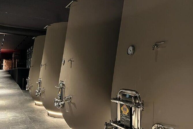 Amarone Wine Tour with 2 Wineries Lunch and Private Transfer - Experience and What to Expect from the Tour