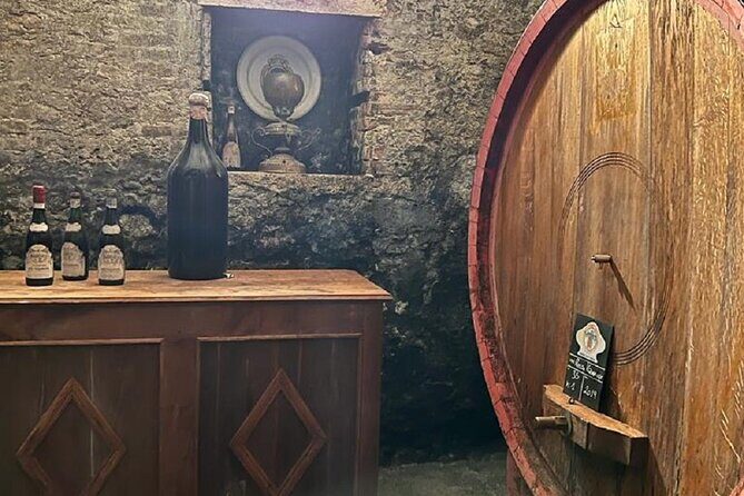 Amarone Wine Tour with 2 Wineries Lunch and Private Transfer - What Makes This Tour Stand Out