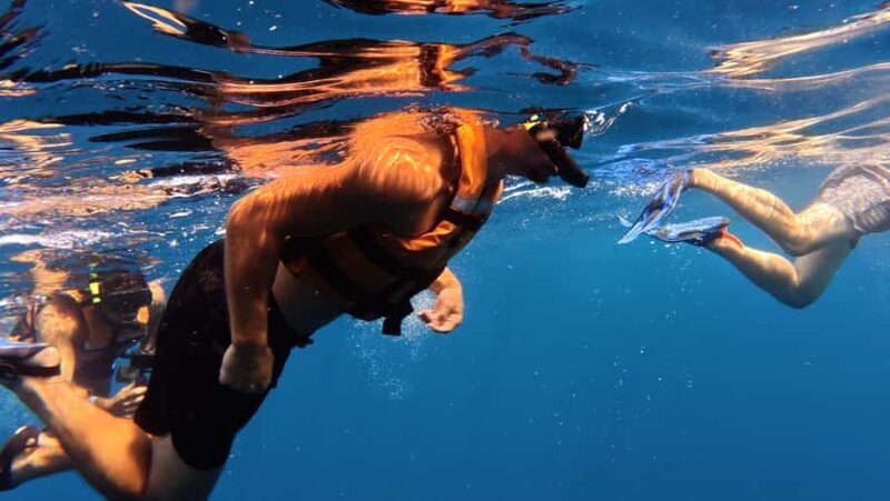 Amazing Adventure, Search and Swim with Whale Sharks on Holbox Island - The Ultimate Guide to the Whale Shark Tour on Holbox Island