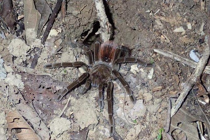 Amazing Amazon 2Days 1Night - Amazon Wonder Expeditions - The Sum Up