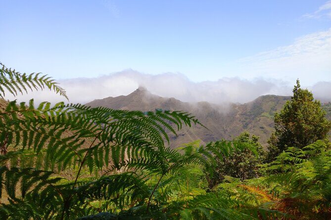 Amazing Anaga - The Sum Up: Why This Tour is a Great Choice