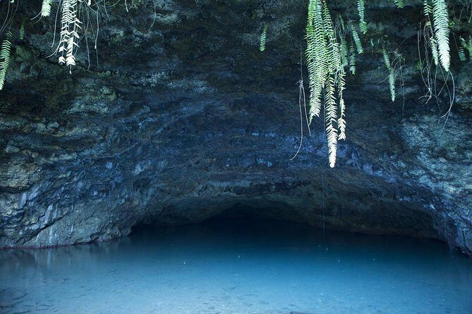 Amazing attractions of Tahiti charming island  Private half day circle tour - Exploring Tahiti on a Private Half-Day Circle Tour: An Authentic Snapshot of the Island