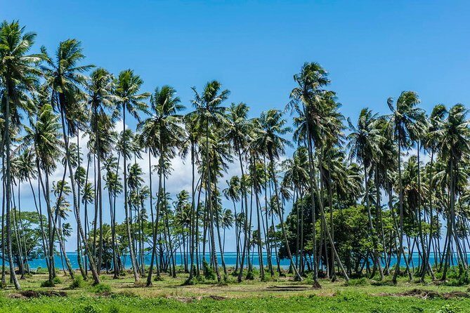 Amazing attractions of Tahiti charming island  Private half day circle tour - Key Points