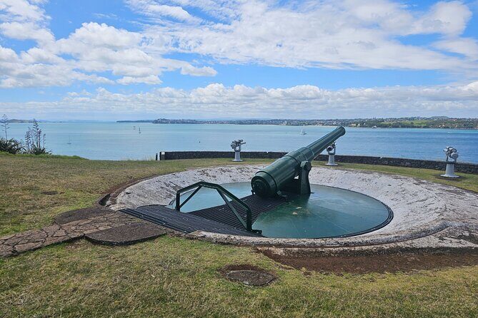 Amazing Auckland City Half Day Guided Tour - A Closer Look at the Itinerary