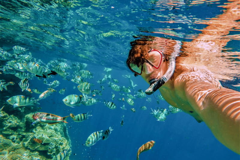 Amazing Cabo and Snorkel Adventure - Who Should Consider This Tour?