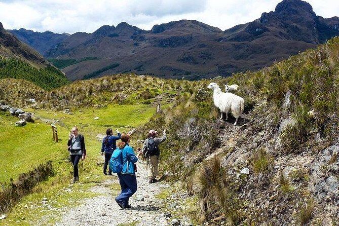 Amazing Cajas National Park Tour from Cuenca - A Detailed Look at the Cajas National Park Tour