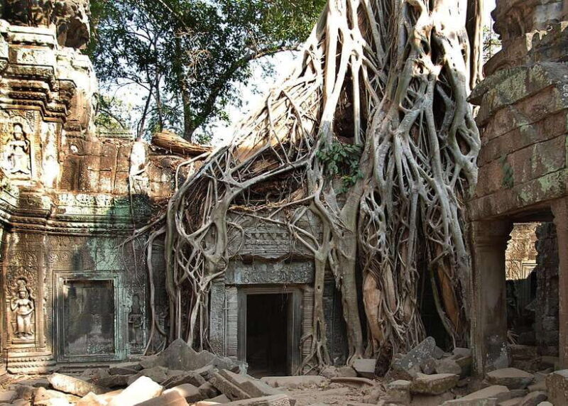 Amazing Cambodia 5 Days Private Tour Phnom Penh & Siem Reap - Who Is This Tour Best For?