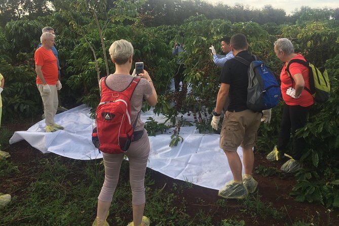 Amazing Coffee full-day tour in Buon Ma Thuot - Daklak - Final Thoughts