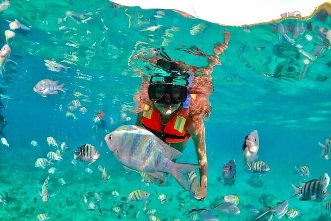 Amazing Cozumel Buggy Adventure Around the Island - Who Should Consider This Tour?