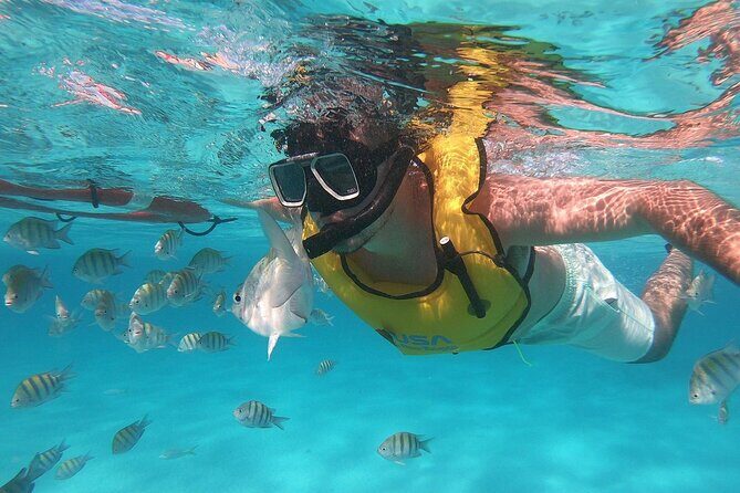 Amazing Cozumel Buggy Adventure Around the Island - The Sum Up